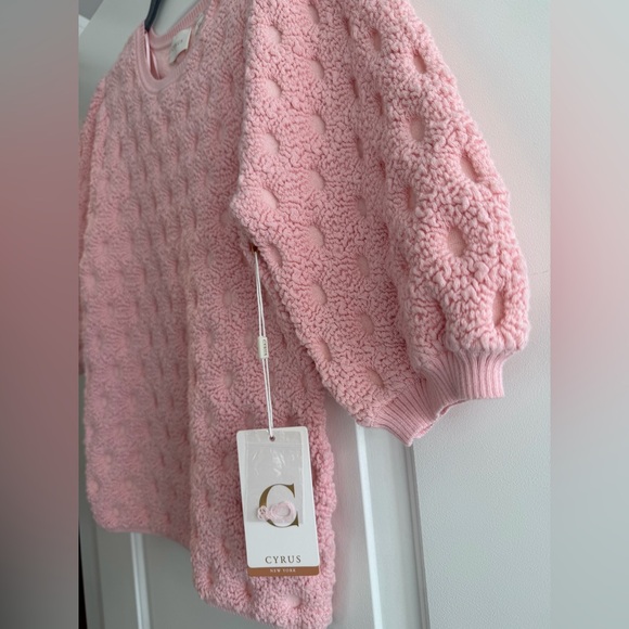 NWT. Cyrus Blush Pink Textured Knit Top - Picture 7 of 9